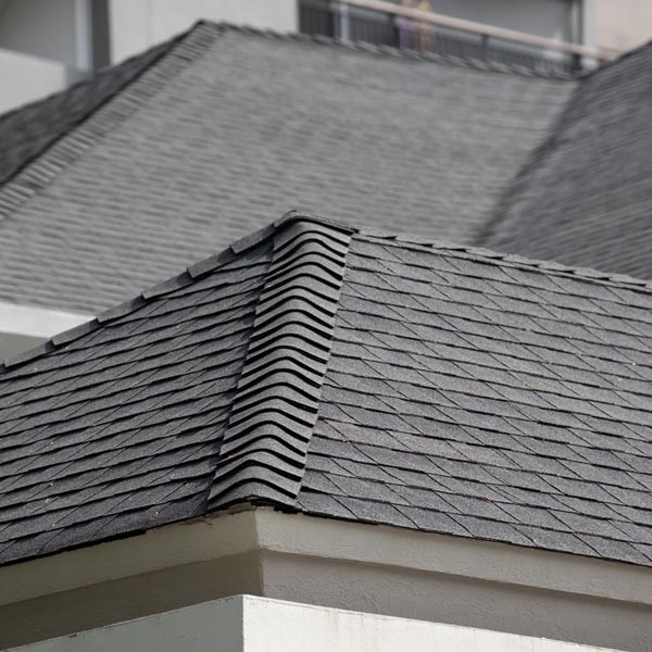 new shingle roof